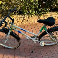 Bicicletta Mountain Bike