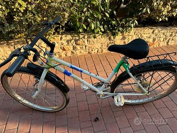 Bicicletta Mountain Bike