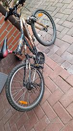 Bici Mtb Ruota  24