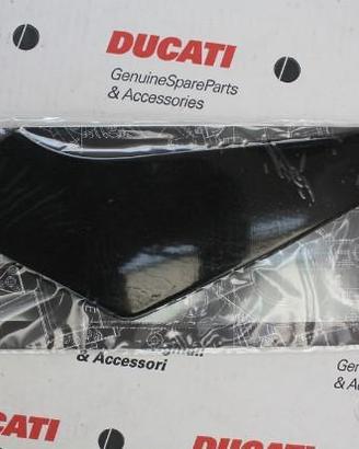 Protez. Serbatoio Ades. Carbon X Multistrada 1200