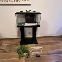 acquario 60 litri