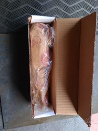 indotto motorino avviamento  e piantone willys