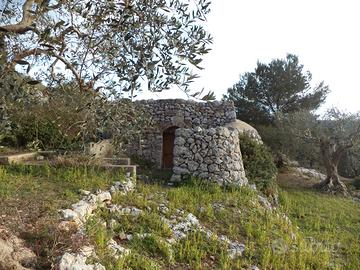 Terreno e Pajara "Bellavista" a Corsano (Le)
