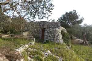 Terreno e Pajara "Bellavista" a Corsano (Le)