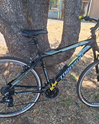 bici MTB 29