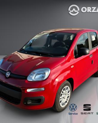 Fiat Panda 1.0 FireFly S&S Hybrid Icon CELL VENDIT