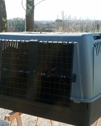 Gabbia per trasporto cani di taglia grande 