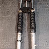 Forcelle nx650 dominator