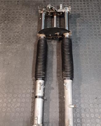 Forcelle nx650 dominator