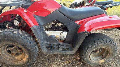 Quad kayo au 200 targa agricola
