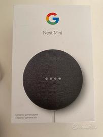 Mini nest google