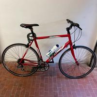 Bicicletta da città