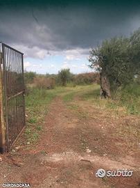 Terreno a Spartà rif. GIH-5021
