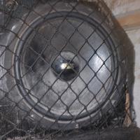 subwoofer 