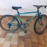 bicicletta MTB bottechia raggio 26