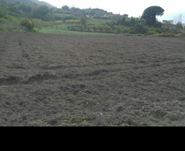 Terreno di 3300 mq