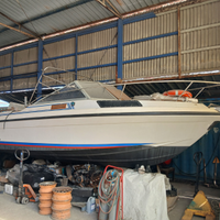 Cranchi Cljpper 224