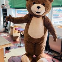 Mascotte Orso
