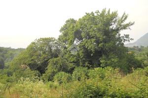 TER. RESIDENZIALE A SERINO