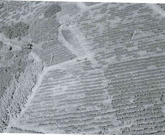 RGE 158/2022 Trib Pavia - LOTTO 5