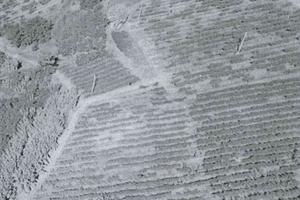 RGE 158/2022 Trib Pavia - LOTTO 5