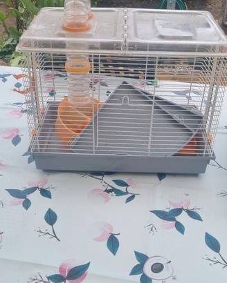 gabbia per criceto 