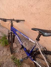 Bici mountain bike kastle SL800