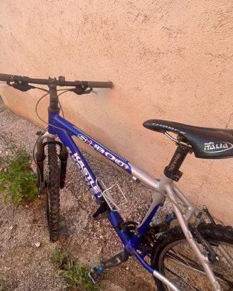 Bici mountain bike kastle SL800