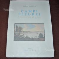 Campi Flegrei - vulcani due Sicilie - 59 tavole