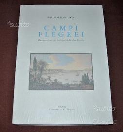 Campi Flegrei - vulcani due Sicilie - 59 tavole