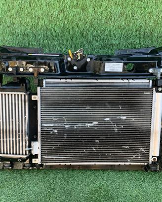 CALANDRA FIAT 500 Serie 00519382680 (07>14)