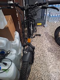 bicicletta elettrica