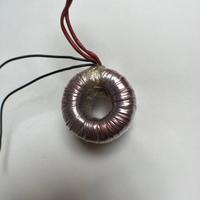 Trasformatore toroidale da 220 V 50 Hz a 12 V 50 W