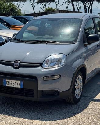 FIAT Panda Hybrid Citylife 1.0cc 70cv
