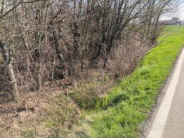 Terreno 98 m2 a cella di noceto