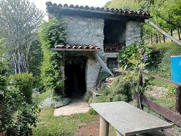 Terreno agricolo Berzo san Fermo