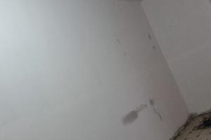 Vendita appartamento