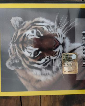 DVD Enciclopedia degli animali Storie di cuccioli