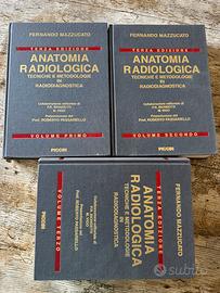 Anatomia radiologica Mazzuccato