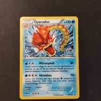 Pokémon gyarados xy109 promo black star