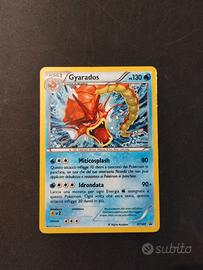 Pokémon gyarados xy109 promo black star