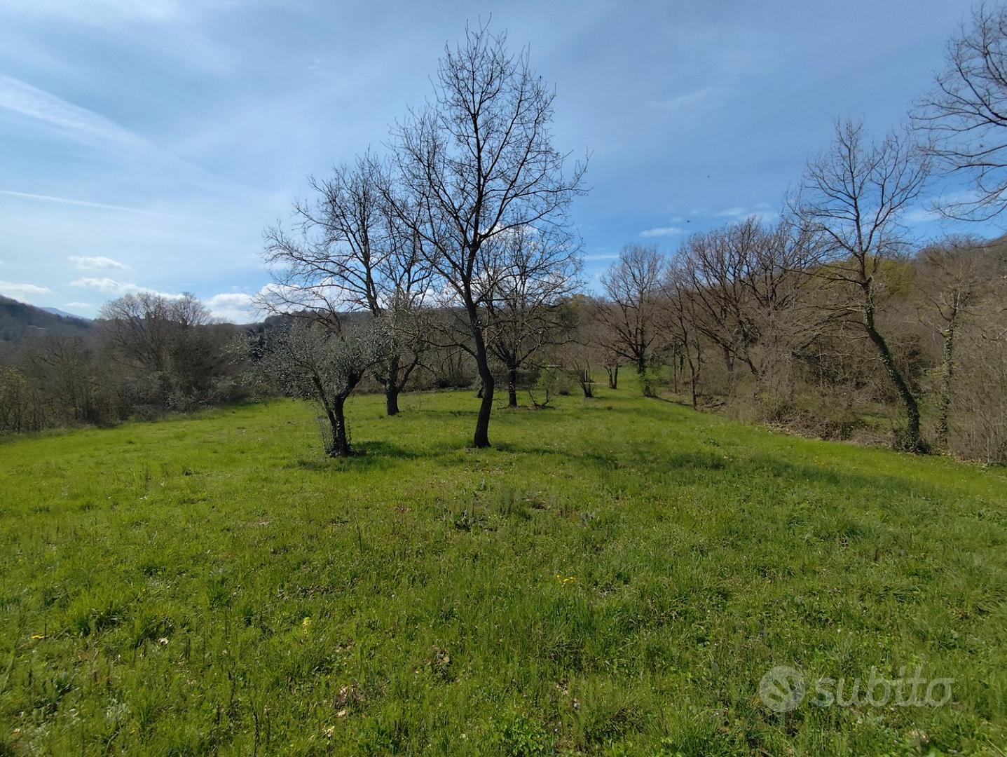 Vitorchiano terreno con casale - Vista 3