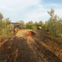 Terreno agricolo mq800