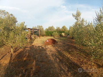 Terreno agricolo mq800