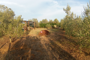 Terreno agricolo mq800