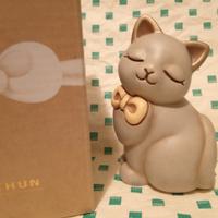 gatto 🐈 con fiocco thun 