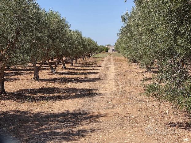 Terreno Agricolo Grottaglie [LM2002ACG]