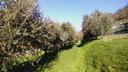 ter-agricolo-a-provaglio-d-iseo