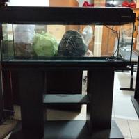 acquario slim con tavolino 