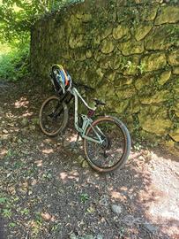 Reign Giant sx29 2022 